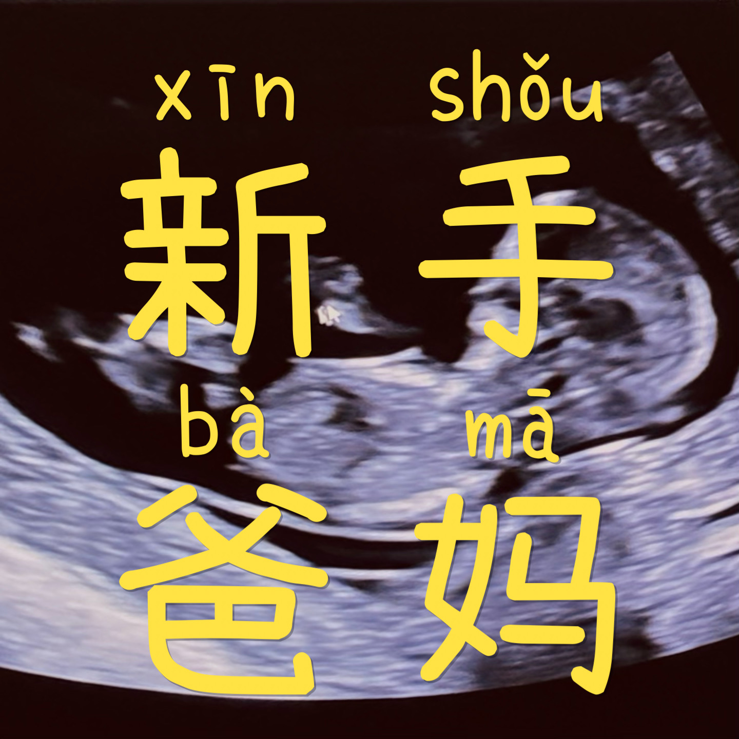 新手爸妈播客logo.png|300